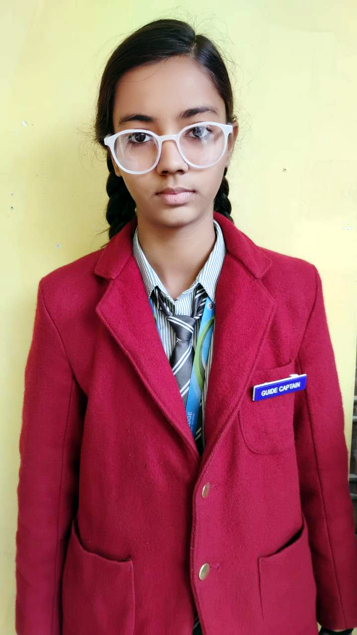 Guide Captain